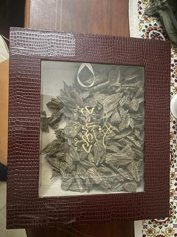 عود كالامانتان