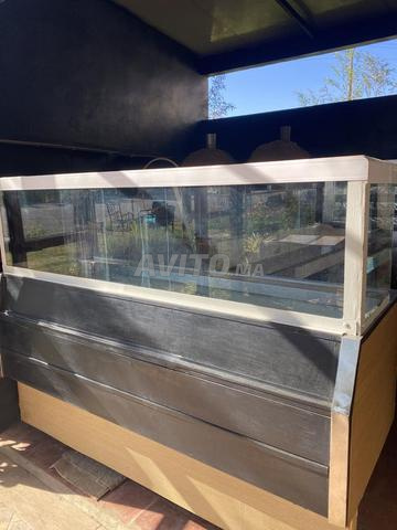 COMPTOIR PRESENTATION كونتوار عرض لمطعم