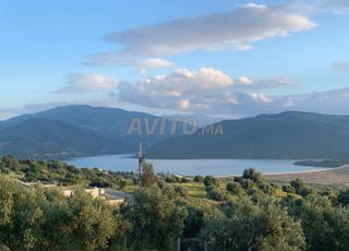 أرض موثقة في بن قريش