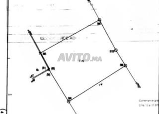 أرض حصرية في عين الدياب إكستنسيون - 1003 متر مربع