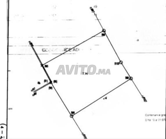 TERRAIN EXCLUSIF À AIN DIAB EXTENSION - 1003 m²