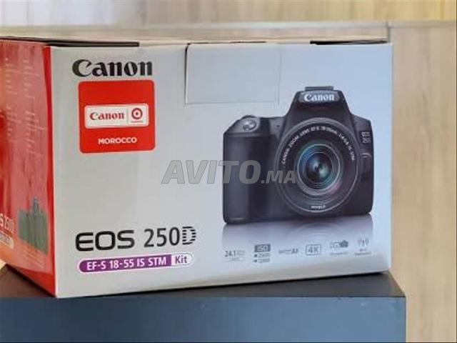 canon 250d