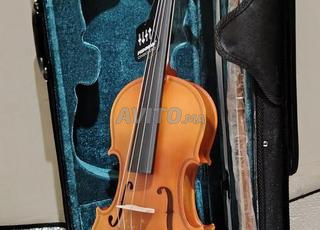 Violon 4/4 hotte gamm bois massif