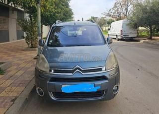 سيتروين بيرلينجو 2013