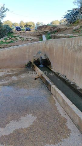 Terrain agricole de 34 hectares avec sol fertile et puits à un prix raisonnable