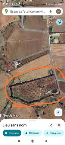 2 هكتارات بالحرار تابعة لجماعة الشراط بوزنيقة