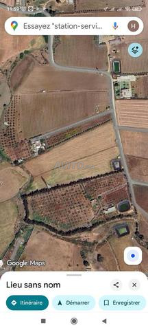 2 hectares à Lahrare, relevant de la commune de Cherrat, Bouznika - 2
