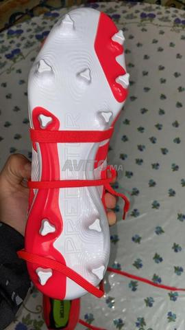 godas adidas predator elite pro original taille 41