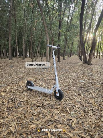 TROTTINETTE OKAI LITE ES10