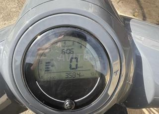 كابتشينو بلس