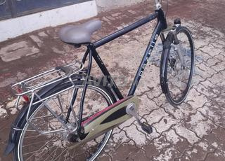 غزالة في حالة جيدة