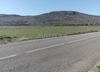 أراضي للبيع