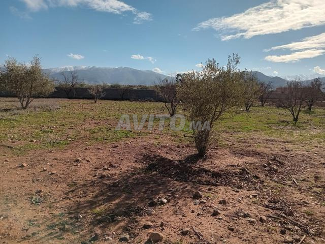 Terrain de 1500 mètres à vendre