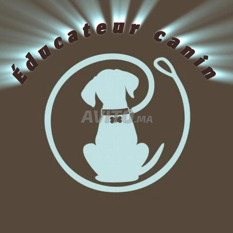 dresseur de chiens à domicile