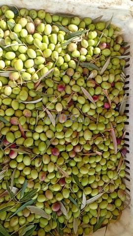 زيت زيتون بكر ممتاز أخضر عضوي & ONSSA