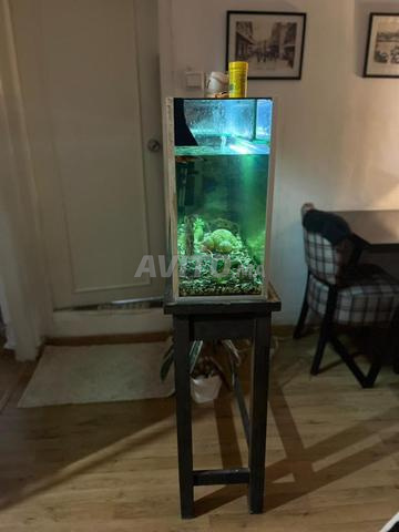 حوض سمك للبيع