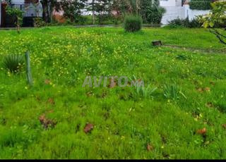 أرض موثقة للبيع