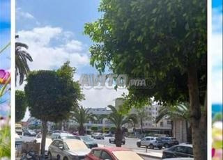 شقق فارغة للأزواج أو العزاب