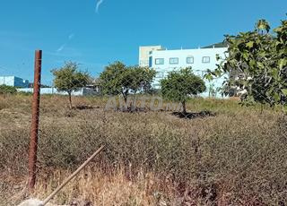 تطوان بنقريش