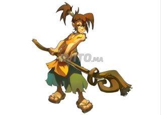 حسابات Dofus Touch