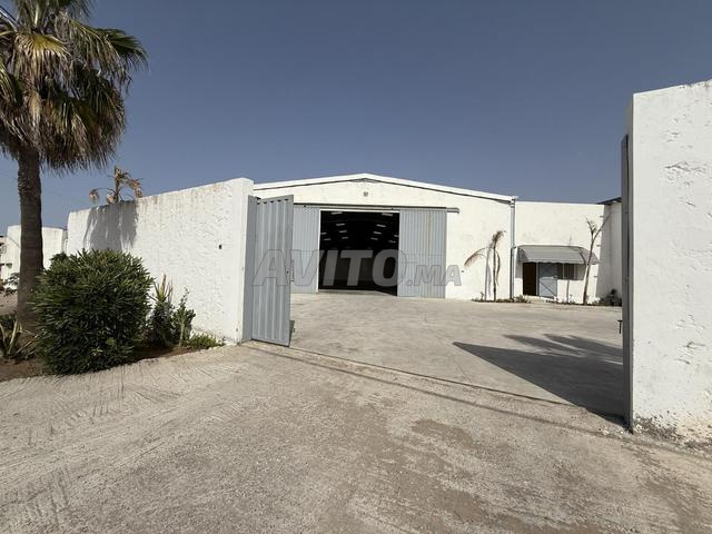 Hangar neuf de 1,000 m² à louer à Kénitra