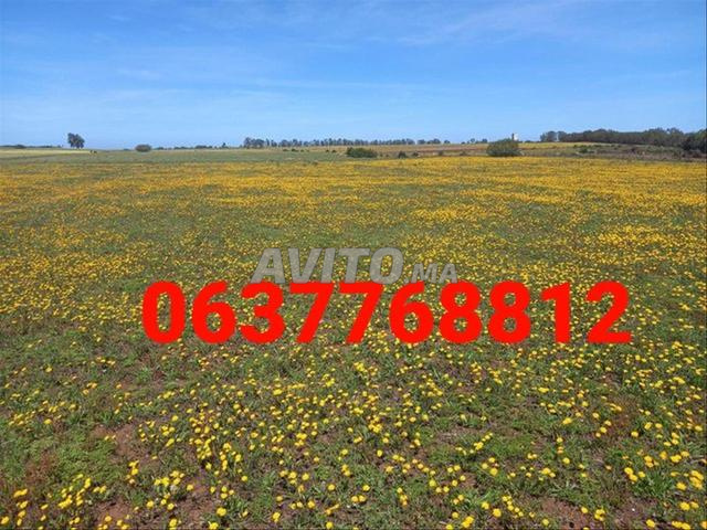 Terrain agricole de 50 hectares titré