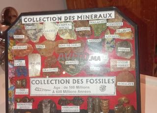 مجموعة من المعادن و الحفريات