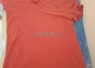 بولو بوما الأصلي