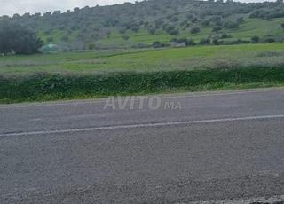 مشروع سكني مرخص