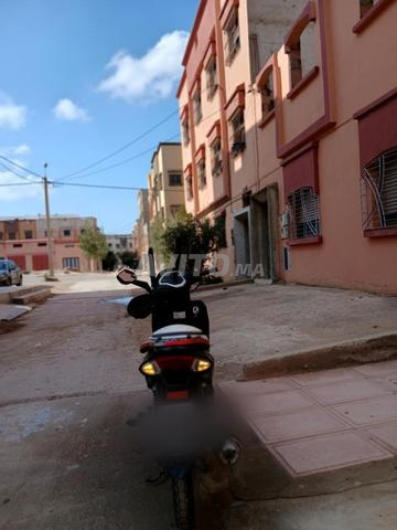 saniya x1000