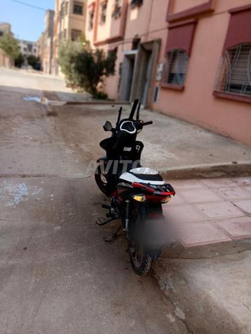 saniya x1000 - 2