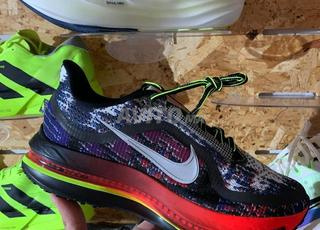 Nike Pegasus ARGENT-VOLT MULTICOLORE/MÉTALLIQUE