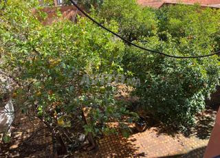 مستوى فيلا فارغ للإيجار