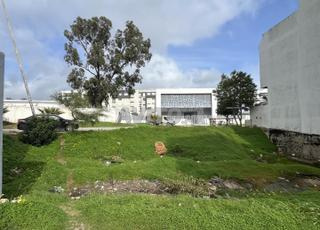 أرض فيلا للبيع - حي الولاية | 295 متر مربع