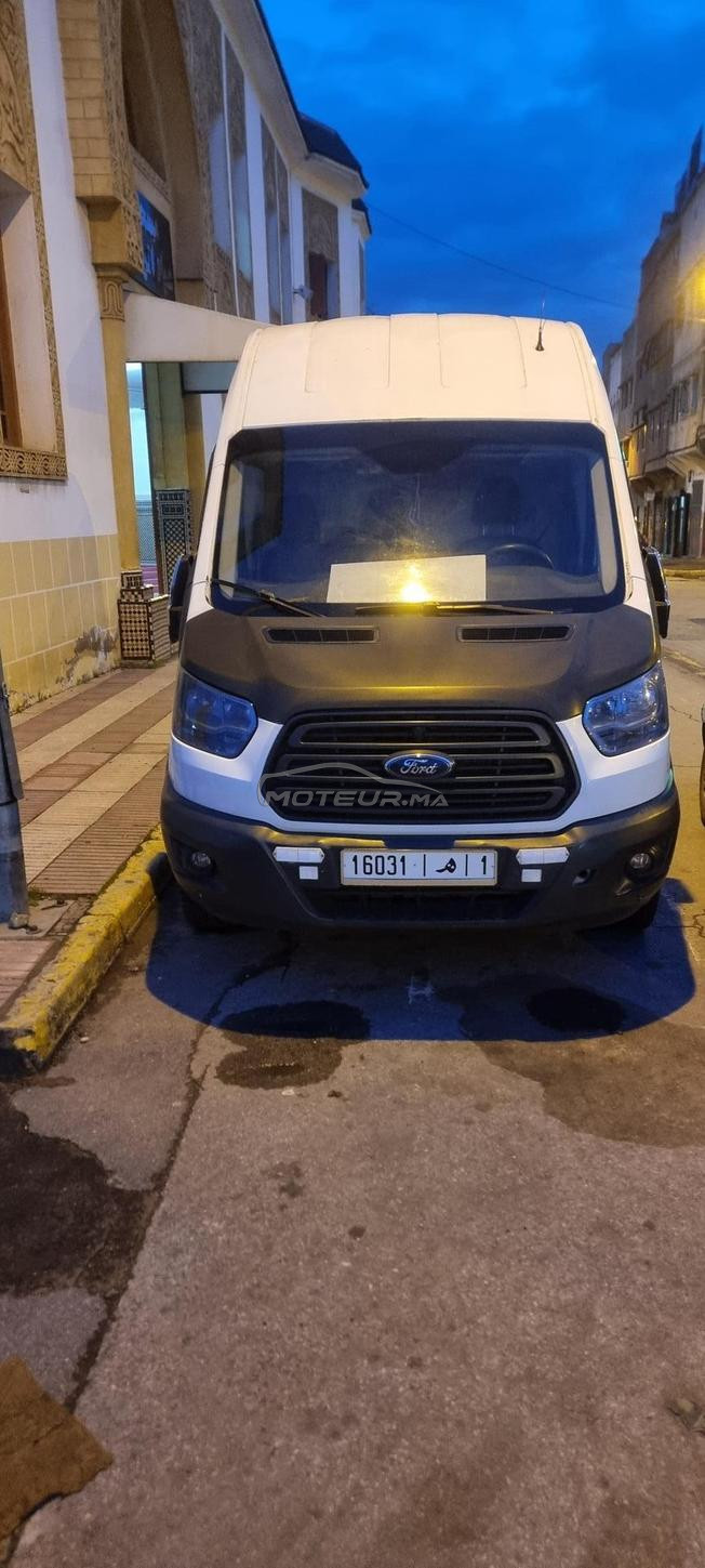فود ترانزيت 