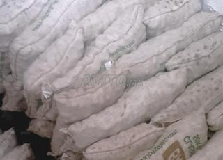 Pomme de terre zerri3a en gros