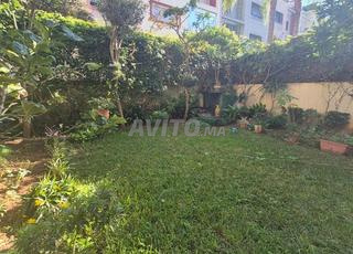 للبيع تريبلكس 4 غرف 240 متر مربع Harhoura Rivage