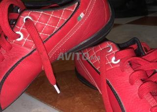 بوما فيراري نيو كات