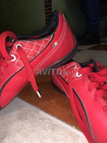 بوما فيراري نيو كات