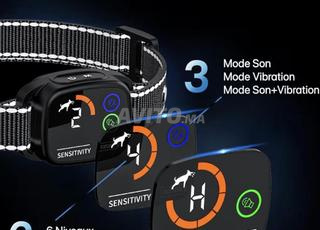 جهاز تدريب الكلاب ومكافحة النباح