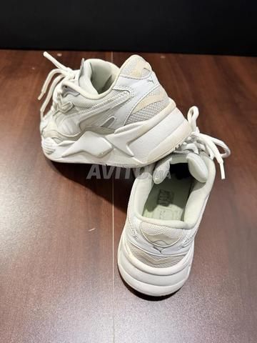 حذاء رياضي بوما أصلي