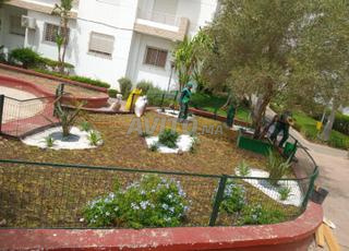 تنسيق الحدائق، تقليم الأشجار والتنظيف...