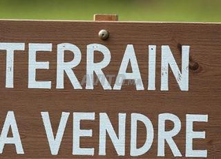 تيرا 220م2 فيلا الحي