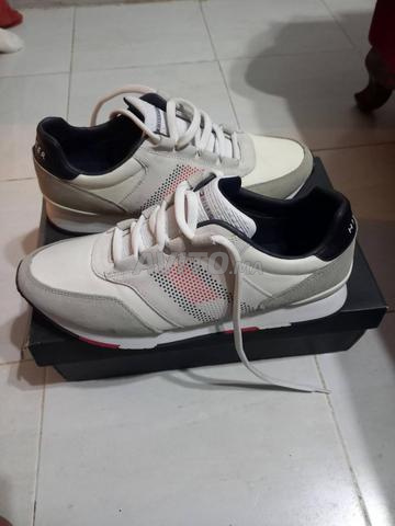 تومي من الأصل