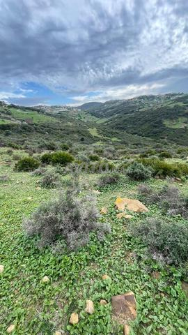 Terrain aménagé à vendre. Sidi Kankouch