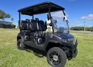 عربة جولف / جولفيت / ليثيوم