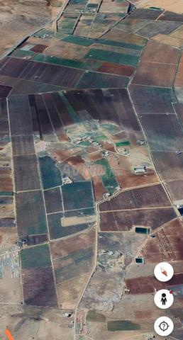 مزارع وأراض زراعية