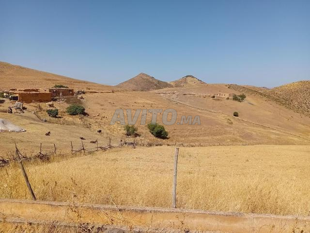 Terrain à vendre AIN LEUH 26997 m² avec puit - 2