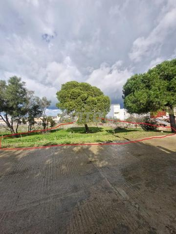 Terrain titré à Hay El Hajarine 635 mètres