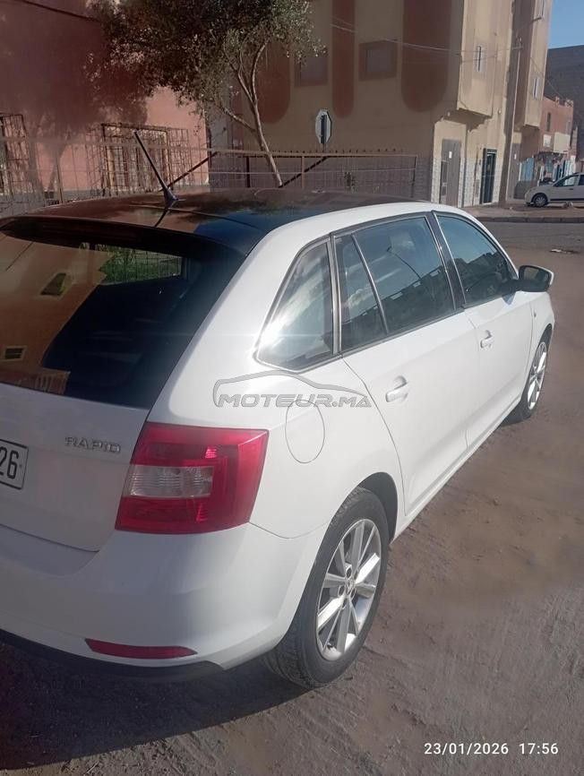 سكودا ربيد نقية